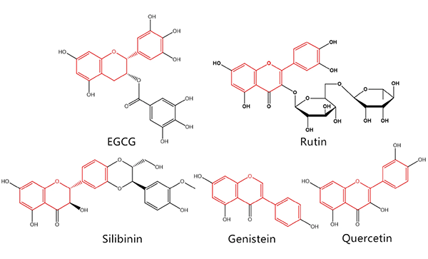 Revealing the Mechanism of EGCG, Genistein, Rutin, Quercetin, and Silibinin Against hIAPP Aggregation via Computational Simulations
