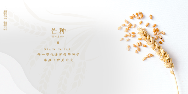 芒种时节款款而至