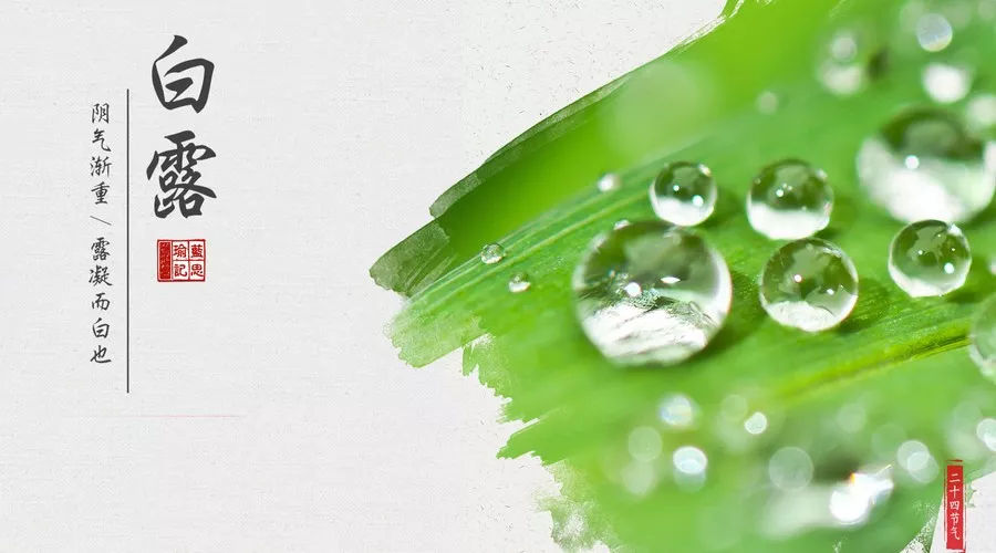 蒹葭苍苍，白露为霜——24节气之白露                    常州装修找荣兴装饰