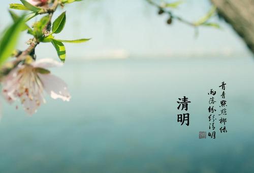 梨花风起正清明，游子寻春半出城——清明                                                  常州装修找荣兴装饰