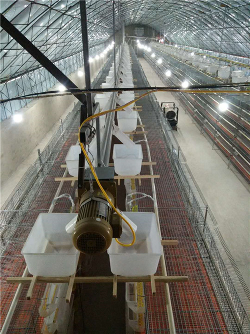 鹌鹑自动上料设备生产_其他畜禽饲养机械_畜牧养殖机械_行业专用设备